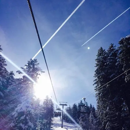Sonne